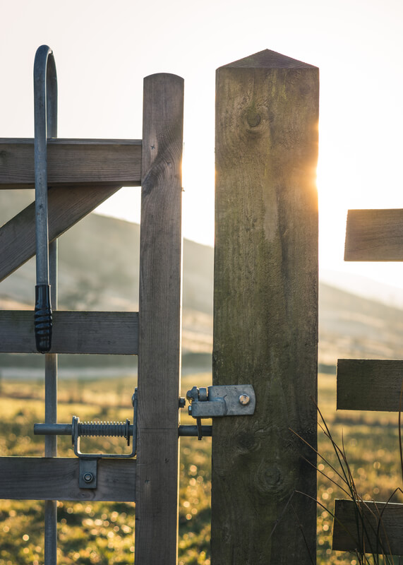 Lever gate latch 